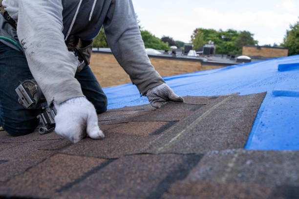 Best Roof Repair Services  in Homeland Park, SC