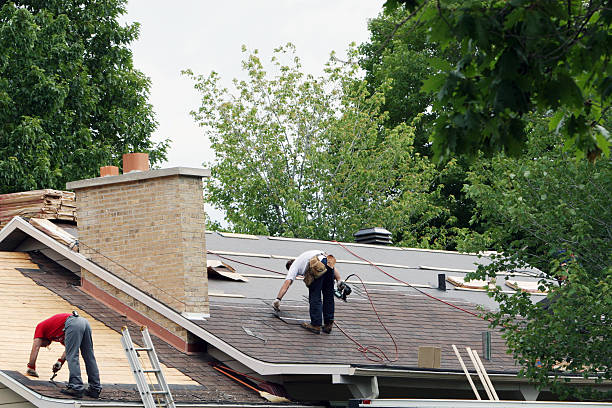 Quick and Trustworthy Emergency Roof Repair Services in Homeland Park, SC