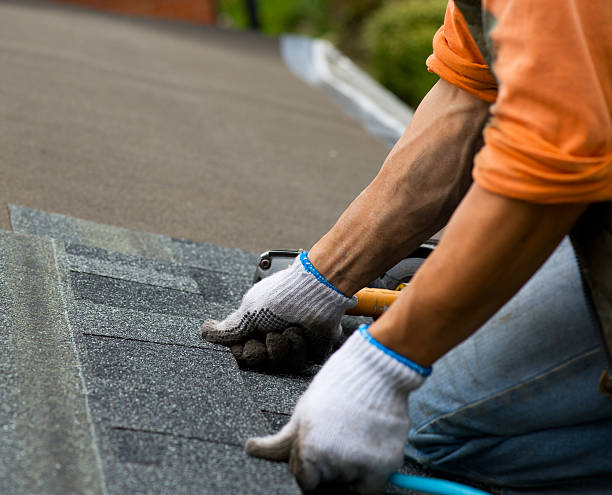 Best Storm Damage Roof Repair  in Homeland Park, SC